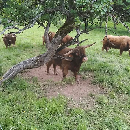 Cornelia Dom wakacyjny Nompatelize